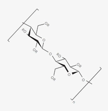 liftonin-xpert